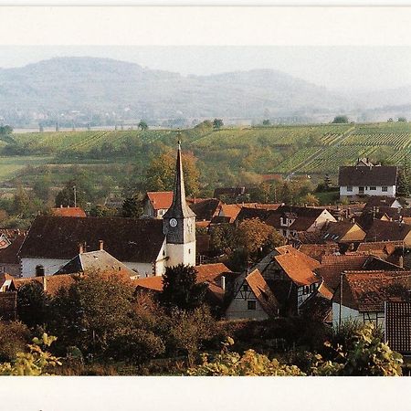 Villa Les Hirondelles Wangen Esterno foto
