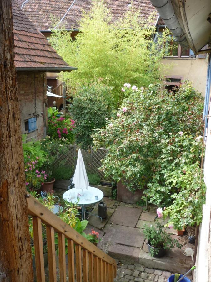 Villa Les Hirondelles Wangen Esterno foto